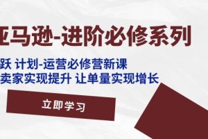 【2024.07.16】亚马逊进阶必修系列，龙跃 计划-运营必修营新课，让卖家实现提升 让单量实现增长百度网盘免费下载-芽米宝库