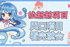 【2024.07.16】拉新界的新玩法，风口项目，看完就会，动手就有百度网盘免费下载-芽米宝库