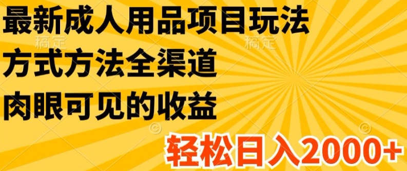 图片[1]-【2024.07.16】最新成人用品项目玩法，方式方法全渠道，轻松日入2K+百度网盘免费下载-芽米宝库