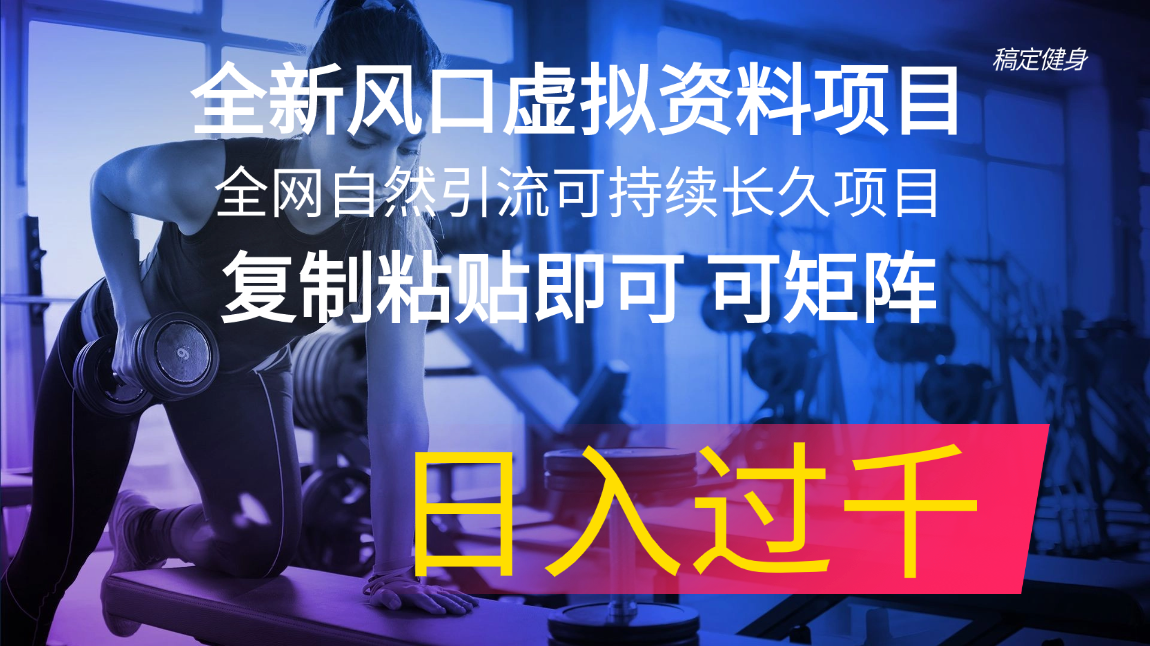 图片[1]-【2024.07.14】全新风口虚拟资料项目，全网自然引流可持续长久项目，复制粘贴即可，可矩阵，日入1000+百度网盘免费下载-芽米宝库
