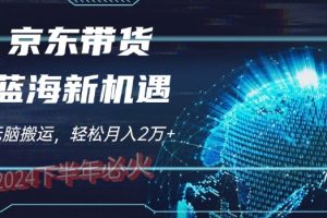 【2024.07.13】2024下半年最新蓝海项目，无脑搬运，不用剪辑，有手就会，京东图文视频，每月亲测2W+百度网盘免费下载-芽米宝库