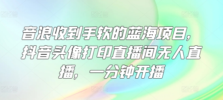 图片[1]-【2024.07.13】音浪收到手软的蓝海项目，抖音头像打印直播间无人直播，一分钟开播百度网盘免费下载-芽米宝库