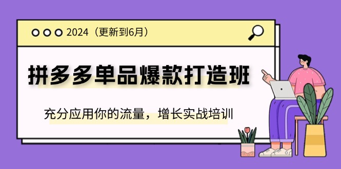 图片[1]-【2024.07.12】2024拼多多单品爆款打造班(更新6月)，充分应用你的流量，增长实战培训百度网盘免费下载-芽米宝库