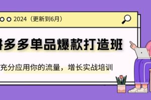 【2024.07.12】2024拼多多单品爆款打造班(更新6月)，充分应用你的流量，增长实战培训百度网盘免费下载-芽米宝库