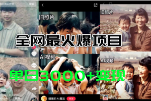 【2024.07.11】全网爆火的AI让老照片动起来教程，蹭热点日赚3000+，内含免费工具一键生成百度网盘免费下载-芽米宝库