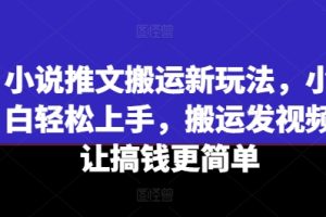 【2024.07.11】小说推文搬运新玩法，小白轻松上手，搬运发视频让搞钱更简单百度网盘免费下载-芽米宝库