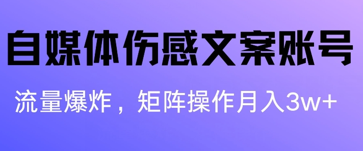 图片[1]-【2024.07.10】自媒体伤感文案账号，制作简单，流量爆炸账号很容易复制，矩阵月入1W+百度网盘免费下载-芽米宝库