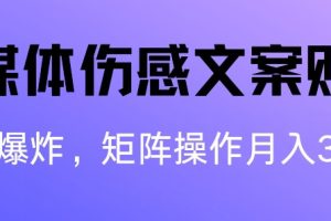 【2024.07.10】自媒体伤感文案账号，制作简单，流量爆炸账号很容易复制，矩阵月入1W+百度网盘免费下载-芽米宝库