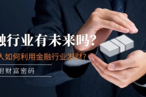 【2024.07.09】某付费文章：金融行业有未来吗？普通人如何利用金融行业发财?(附财富密码)百度网盘免费下载-芽米宝库