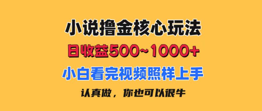 图片[1]-【2024.07.07】小说撸金核心玩法，日收益500-1000+，小白看完照样上手，0成本有手就行百度网盘免费下载-芽米宝库