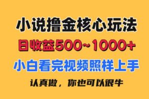 【2024.07.07】小说撸金核心玩法，日收益500-1000+，小白看完照样上手，0成本有手就行百度网盘免费下载-芽米宝库