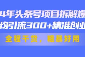 【2024.07.06】24年头条号项目拆解爆文，日均引流300+精准创业粉，全程干货，粗暴好用百度网盘免费下载-芽米宝库