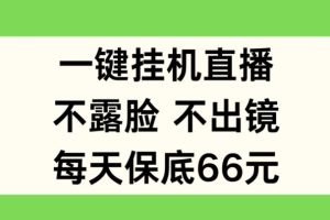 【2024.07.06】一键挂机直播，不露脸不出境，每天保底66元百度网盘免费下载-芽米宝库
