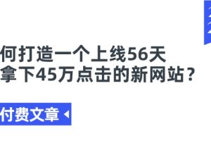 【2024.07.05】某付费文章《如何打造一个上线56天就拿下45万点击的新网站？》百度网盘免费下载-芽米宝库