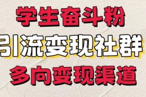 【2024.07.04】学生奋斗粉，引流变现做社群，多向变现渠道百度网盘免费下载-芽米宝库