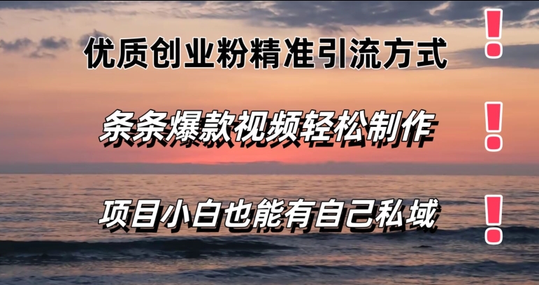 图片[1]-【2024.07.03】优质创业粉精准引流方式，条条视频爆款，小白也能轻松拥有自己的私域百度网盘免费下载-芽米宝库