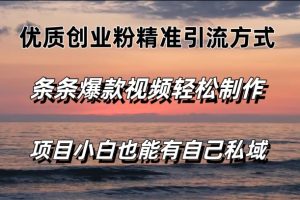 【2024.07.03】优质创业粉精准引流方式，条条视频爆款，小白也能轻松拥有自己的私域百度网盘免费下载-芽米宝库