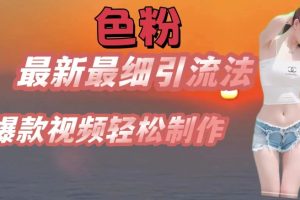 【2024.07.03】se粉最新最细引流法，七天螺旋起号法，爆款视频轻松制作百度网盘免费下载-芽米宝库
