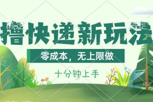 【2024.07.03】撸快递最新玩法，零成本，无上限做，日产1000+。课程看完就会百度网盘免费下载-芽米宝库