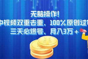 【2024.07.02】无脑操作，中视频双重去重，100%原创过审，三天必爆号，月入3万+百度网盘免费下载-芽米宝库