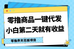 【2024.07.02】零撸商品一键代发，第二天就有收益，小白后期也能有每天几十块的收益百度网盘免费下载-芽米宝库