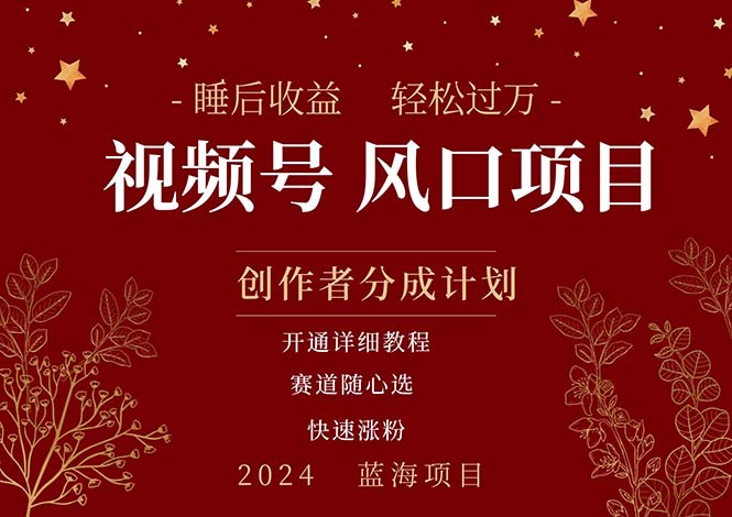 图片[1]-【2024.06.30】拥有睡后收益的微信视频号大风口项目，轻松月入过万+，多赛道选择，可矩阵，玩法简单轻松上手百度网盘免费下载-芽米宝库