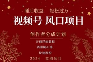 【2024.06.30】拥有睡后收益的微信视频号大风口项目，轻松月入过万+，多赛道选择，可矩阵，玩法简单轻松上手百度网盘免费下载-芽米宝库