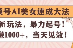 【2024.06.30】视频号AI美女速成大法，暴力起号，日赚1000+，当天见效百度网盘免费下载-芽米宝库