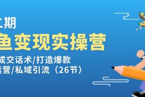 【2024.06.29】闲鱼变现实操训练营第2期：选品/成交话术/打造爆款/精细运营/私域引流百度网盘免费下载-芽米宝库