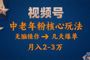 【2024.06.28】视频号火爆玩法，高端中老年粉核心打法，无脑操作，一天十分钟，月入两万百度网盘免费下载-芽米宝库
