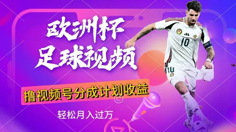 图片[1]-【2024.06.28】利用欧洲杯足球视频，撸分成计划收益，每天只需一个小时，保底月入过w，新手小白轻松上手百度网盘免费下载-芽米宝库