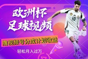 【2024.06.28】利用欧洲杯足球视频，撸分成计划收益，每天只需一个小时，保底月入过w，新手小白轻松上手百度网盘免费下载-芽米宝库
