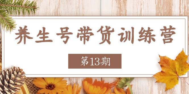 图片[1]-【2024.06.27】养生号带货训练营【第13期】收益更稳定的玩法，让你带货收益爆炸百度网盘免费下载-芽米宝库