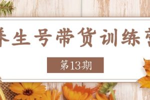 【2024.06.27】养生号带货训练营【第13期】收益更稳定的玩法，让你带货收益爆炸百度网盘免费下载-芽米宝库
