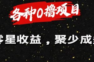 【2024.06.25】各种0撸项目零星收益，聚少成多百度网盘免费下载-芽米宝库