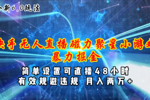 【2024.06.24】全新6.0快手无人直播，磁力聚星小游戏暴力项目，简单设置，直播48小时，月入两万多百度网盘免费下载-芽米宝库