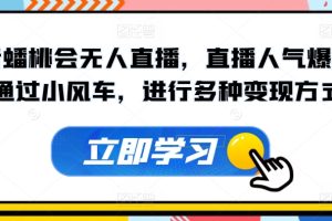 【2024.06.24】抖音蟠桃会无人直播，直播人气爆满，通过小风车，进行多种变现方式百度网盘免费下载-芽米宝库
