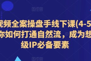 【2024.06.23】短视频全案操盘手线下课(4-5月)教你如何打通自然流，成为想象级IP必备要素百度网盘免费下载-芽米宝库