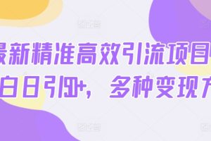 【2024.06.22】2024最新精准高效引流项目粉，小白日引50+，多种变现方式百度网盘免费下载-芽米宝库