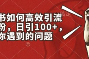 【2024.06.22】小红书如何高效引流创业粉，日引100+，解决你遇到的问题百度网盘免费下载-芽米宝库