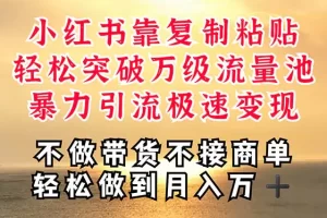 【2024.06.20】深层揭秘小红书，靠复制粘贴，一周突破万级流量池，无脑搬运，暴力引流极速变现百度网盘免费下载-芽米宝库