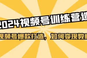 【2024.06.20】2024视频号训练营，视频号爆款打造，如何变现教程（20节课）百度网盘免费下载-芽米宝库