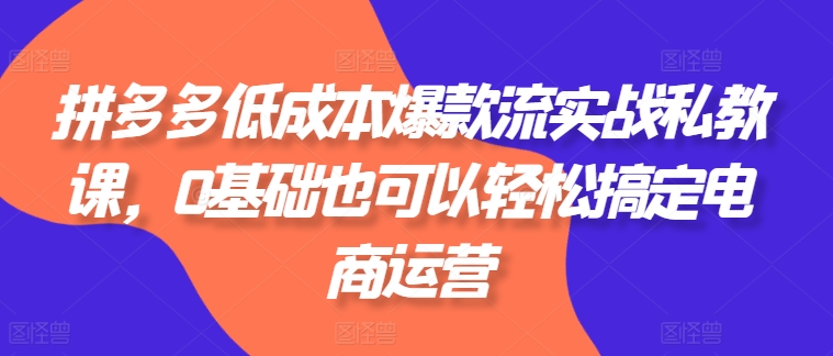 图片[1]-【2024.06.18】拼多多低成本爆款流实战私教课，0基础也可以轻松搞定电商运营百度网盘免费下载-芽米宝库