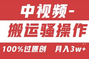 【2024.06.18】【中视频新思路】双重去重100%过原创，无脑搬运一键多渠道发布，一人可多号操作百度网盘免费下载-芽米宝库