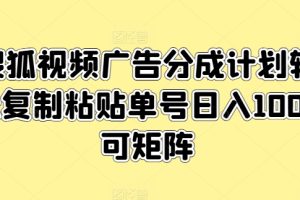 【2024.06.17】搜狐视频广告分成计划，轻松复制粘贴，单号日入100+，可矩阵操作百度网盘免费下载-芽米宝库