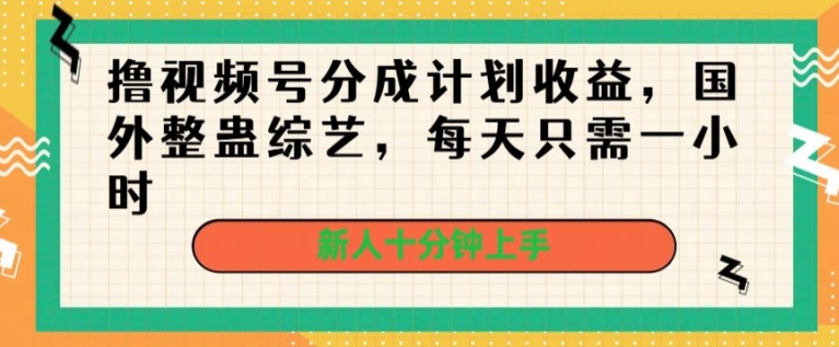 图片[1]-【2024.06.17】撸视频号分成计划收益，国外整蛊综艺，每天只需一小时，新人十分钟上手百度网盘免费下载-芽米宝库