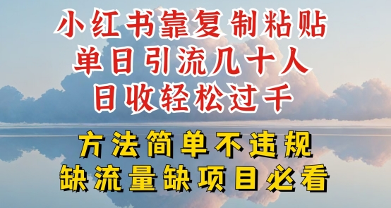图片[1]-【2024.06.17】小红书靠复制粘贴单日引流几十人日收轻松过千，方法简单不违规百度网盘免费下载-芽米宝库