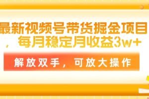 【2024.06.16】最新视频号带货掘金项目，每月稳定月收益1w+，解放双手，可放大操作百度网盘免费下载-芽米宝库
