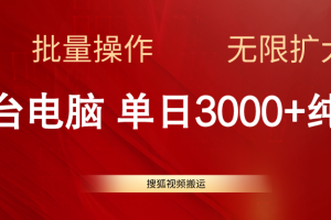 【2024.06.16】搜狐视频搬运，一台电脑单日3000+，批量操作，可无限扩大百度网盘免费下载-芽米宝库