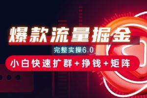 【2024.06.16】爆款流量掘金_完整实操6.0_小白快速扩群+挣钱+矩阵思路百度网盘免费下载-芽米宝库
